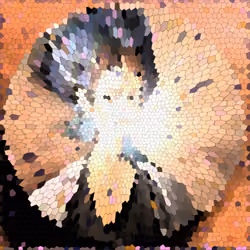 660