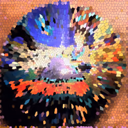 556