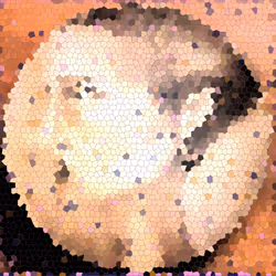 231