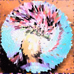 971