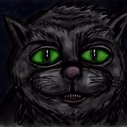 11 - Smiling Black Cat - Original Sketch