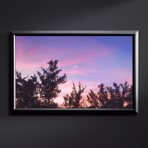 Genesis Catalog Token