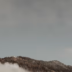 항목 미디어 플레이스홀더