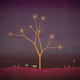 Trees of Eufloria by Sillytuna
