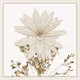 Floral Monochrome by Henry Hu