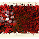 Beyond of Fragility by Bucky