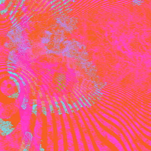 Flegree Fields by Kenzo da barra