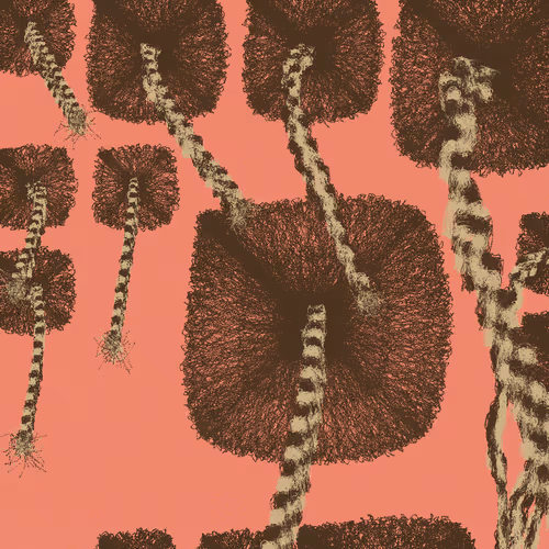 Beauty Supply Is Out of Du-Rags: A Personal Synthesis of Protection and Timeless Style by Ed Balloon