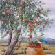 elmarb