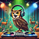 DJ Owl