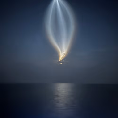 Space X Wonder