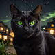 Smiling Black Cat