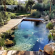 pond