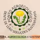Ponto Agroecologico Dente de Leao