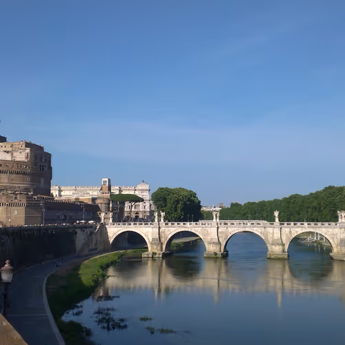 Roma arb
