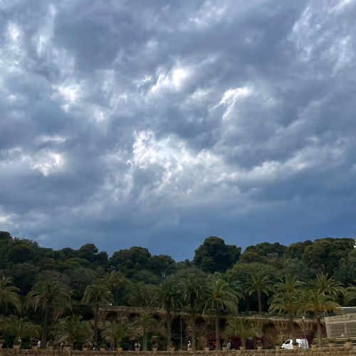 Sky Grove