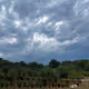 Sky Grove