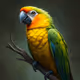 Pretty Parrot