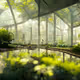 greenhouse
