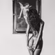 MUSES