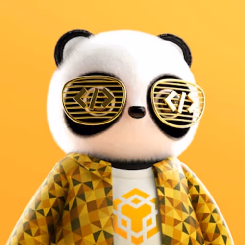 Pandra: CodeConqueror