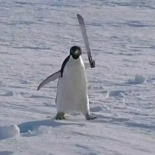 Pengu