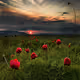 Phantom Shadows 404