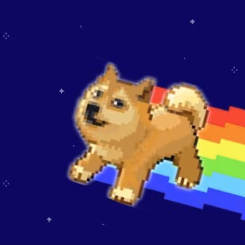 Flying Doge to the Moon