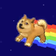 Flying Doge to the Moon