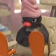 EvilParakeet1241
