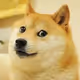 Lineadoge
