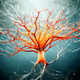NeuroTree