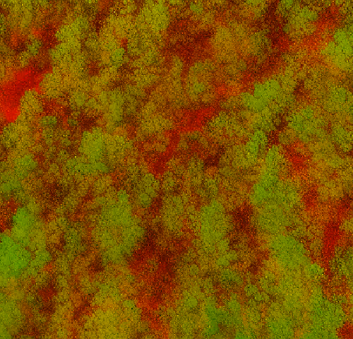 orchard