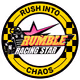 RRS Star Badge