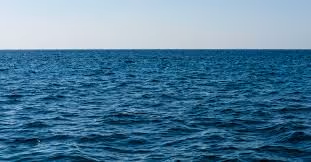 sea - eVPH1sivRl