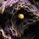 🔭 Lzro Diary 🧪 +Frames+