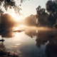 A foggy morning by the river