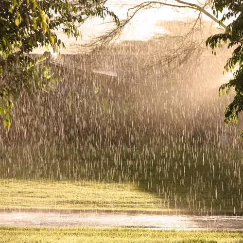 Rain Special