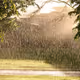 Rain Special