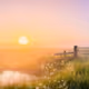 #sun #meadow