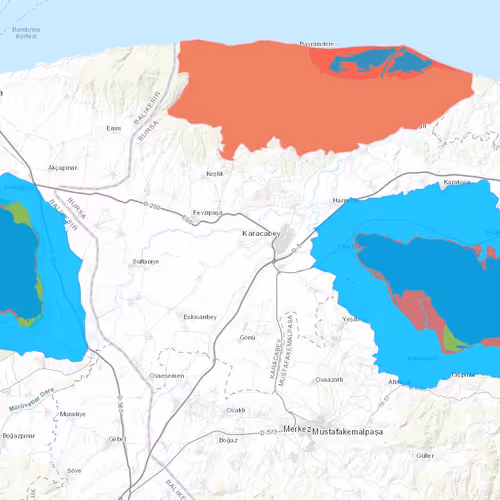 Arbitrum Koleksiyonum