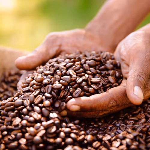 Do u like coffee