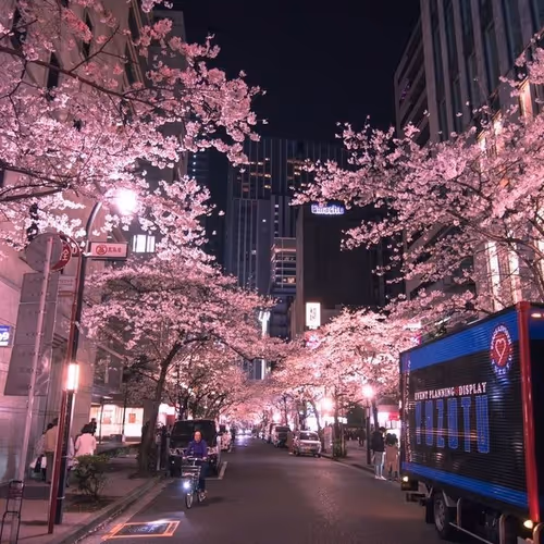 Japan vibe