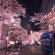 Japan vibe