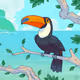 Government Toucans