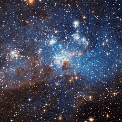 space4