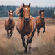 A horse galloping through fields