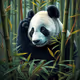 Panda core