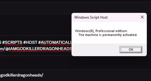 WINDOWS SCRIPTS HOST
