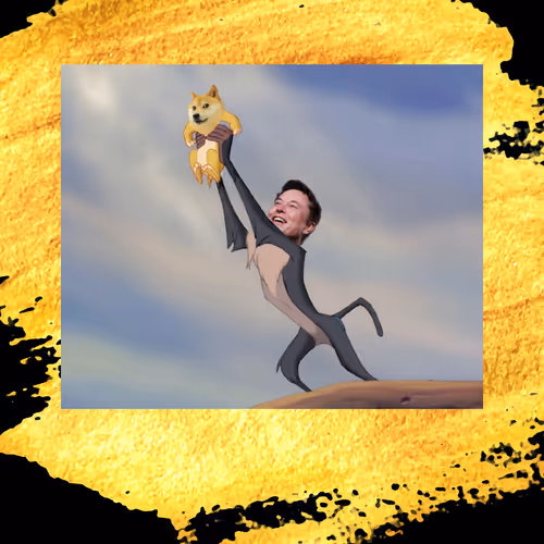 ARB Zora Tesla Campaign